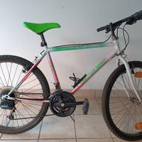 Mountain bike raggio 28