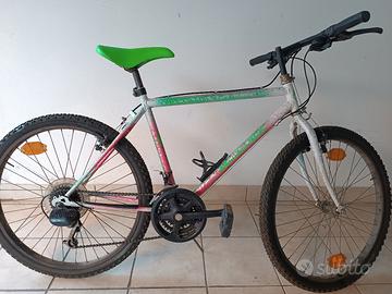 Mountain bike raggio 28