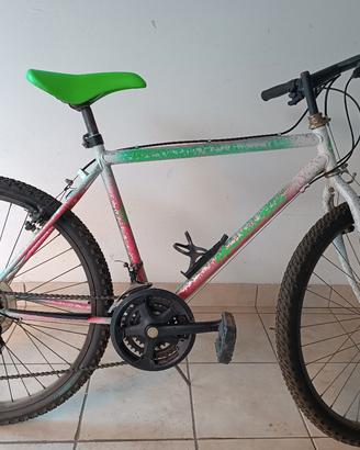 Mountain bike raggio 28