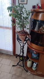 piedistallo portavaso ferro battuto anni 30