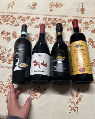 set 4 bottiglie di vino rosso italiano