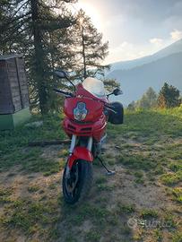 Dicati multistrada