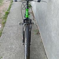 Mountain bike ragazzo 