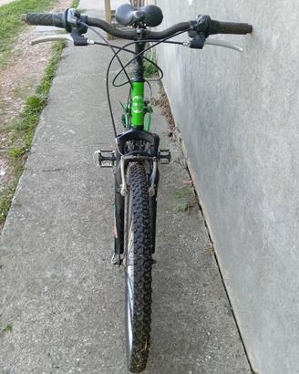 Mountain bike ragazzo 