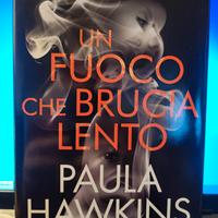 Romanzo "Un fuoco che brucia lento"