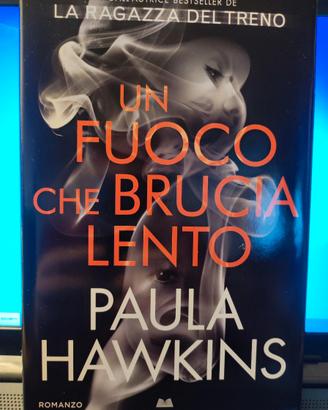 Romanzo "Un fuoco che brucia lento"