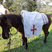 Pony da scuola molto brava