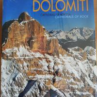 DOLOMITI CATTEDRALI DI ROCCIA libro
