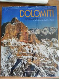 DOLOMITI CATTEDRALI DI ROCCIA libro
