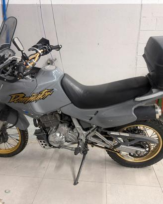 Honda dominator 650cc