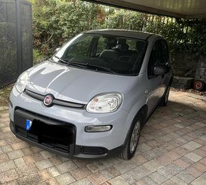 Fiat panda benzina 999