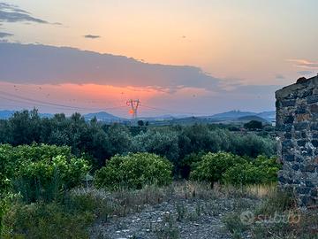 Terreno agricolo con rudere,