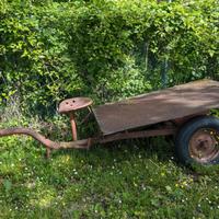 carrello