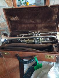 tromba Bach Stradivarius 37