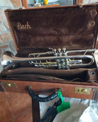 tromba Bach Stradivarius 37