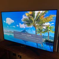 Televisore LG  55 pollici