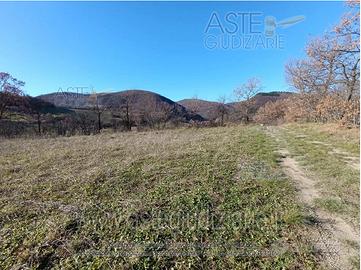 Terreno Agricolo Sassoferrato [A4336728]