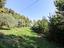 Immagine 14