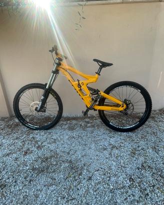 DH Scott Gambler