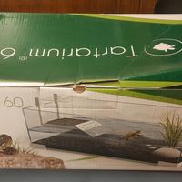 Acquario tartarughe