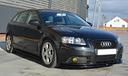lame-minigonne-laterali-audi-a3-8p-sportback-05-12