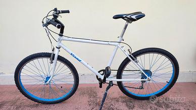 Bicicletta da uomo