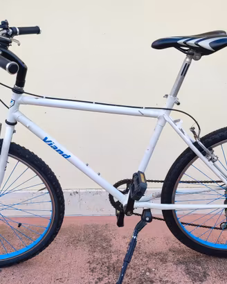 Bicicletta da uomo