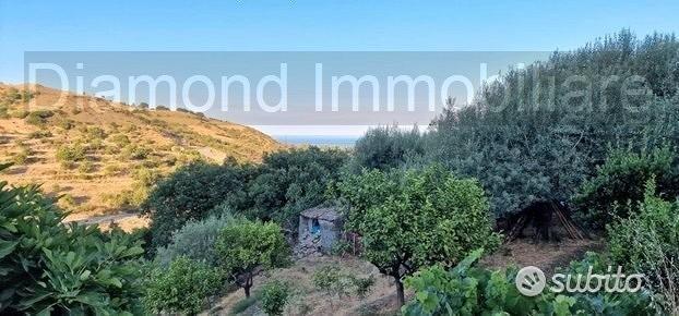 Terreno agricolo 12.000 mq a piedimonte etneo - Vista 5