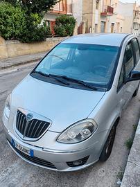 Lancia musa 
