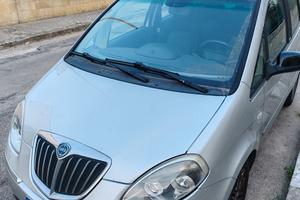 Lancia musa 