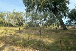 Terreno zona lago delle grazie