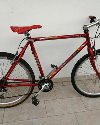MOUNTAIN BIKE