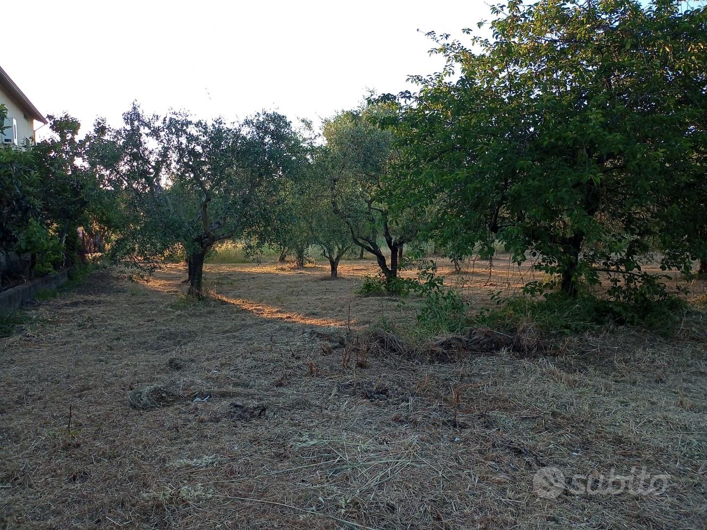 Terreno Benevento Via Mura della Caccia mq 850 - Vista 2