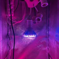 4 Lampade led per coltivazione indoor