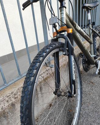 rampichino Scott