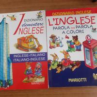 Dizionario Inglese  2 pezzi