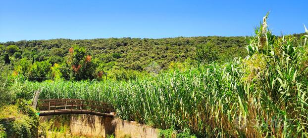 TER. AGRICOLO A GAETA