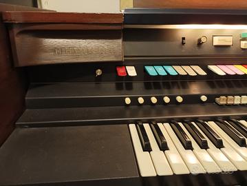 organo hammond