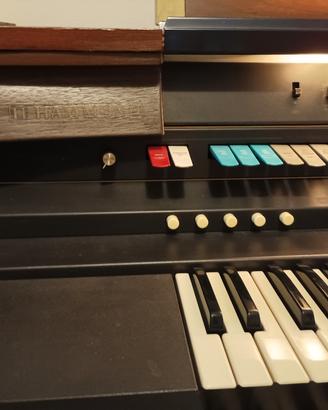 organo hammond