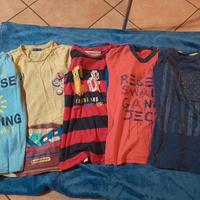 n 5 t shirt cotone usate pochissimo tg 10/11 anni