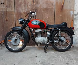175 MV Agusta
