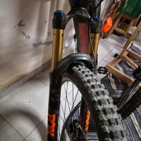 forcella fox kashima 38