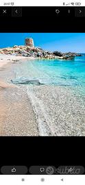 Vacanze in sardegna