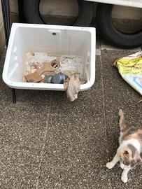 Lavandino lavanderia