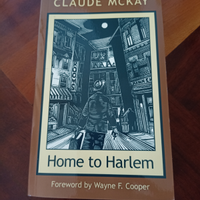 Home to Harlem, Claude McKay