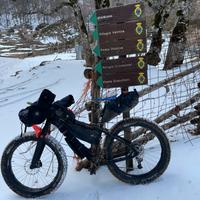 Fatbike snow Salsa Beargrease