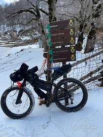 Fatbike snow Salsa Beargrease