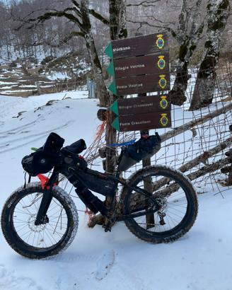 Fatbike snow Salsa Beargrease