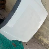 Cofano punto evo