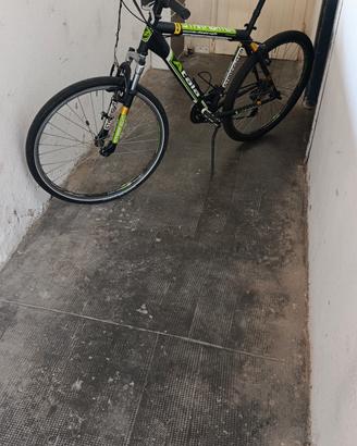 mtb Atala basica